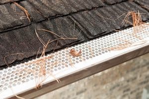 CT Leaf Relief Gutter Guard