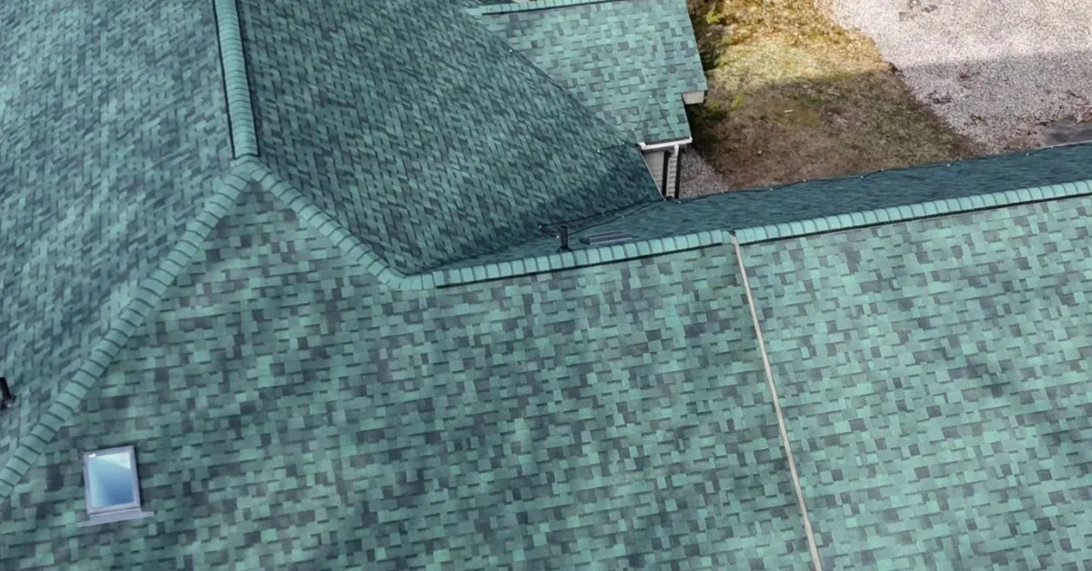 roofing professional
