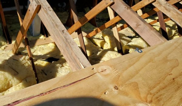 Wood Rot Repair