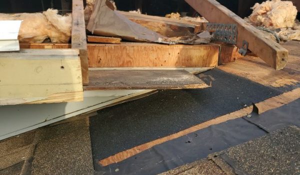 Wood Rot Repair